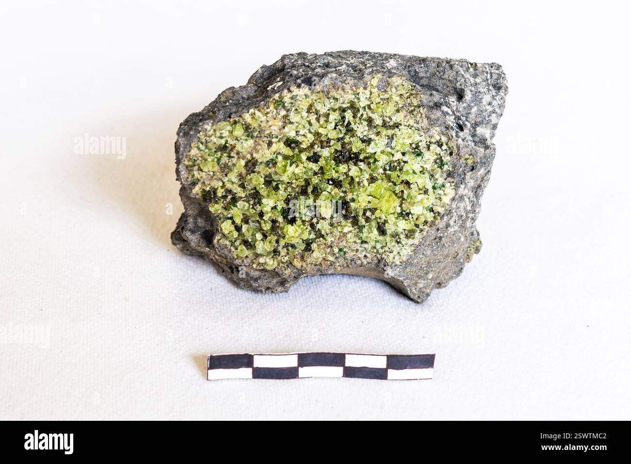 Ein Xenolith aus leuchtend grünen Peridot-Kristallen in einer Basaltprobe auf weißem Hintergrund mit einer Skala von 5 cm Stockfoto