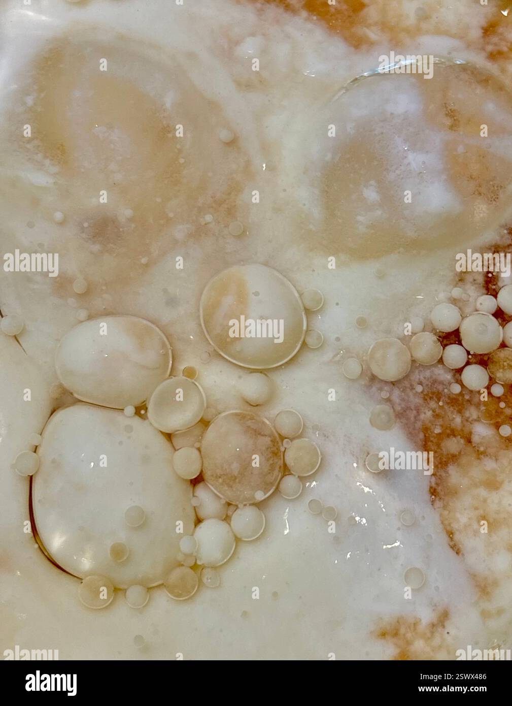 Fermentierungsblasen in Milchsubstanz - Smartphone-aufgenommenes Stockfoto