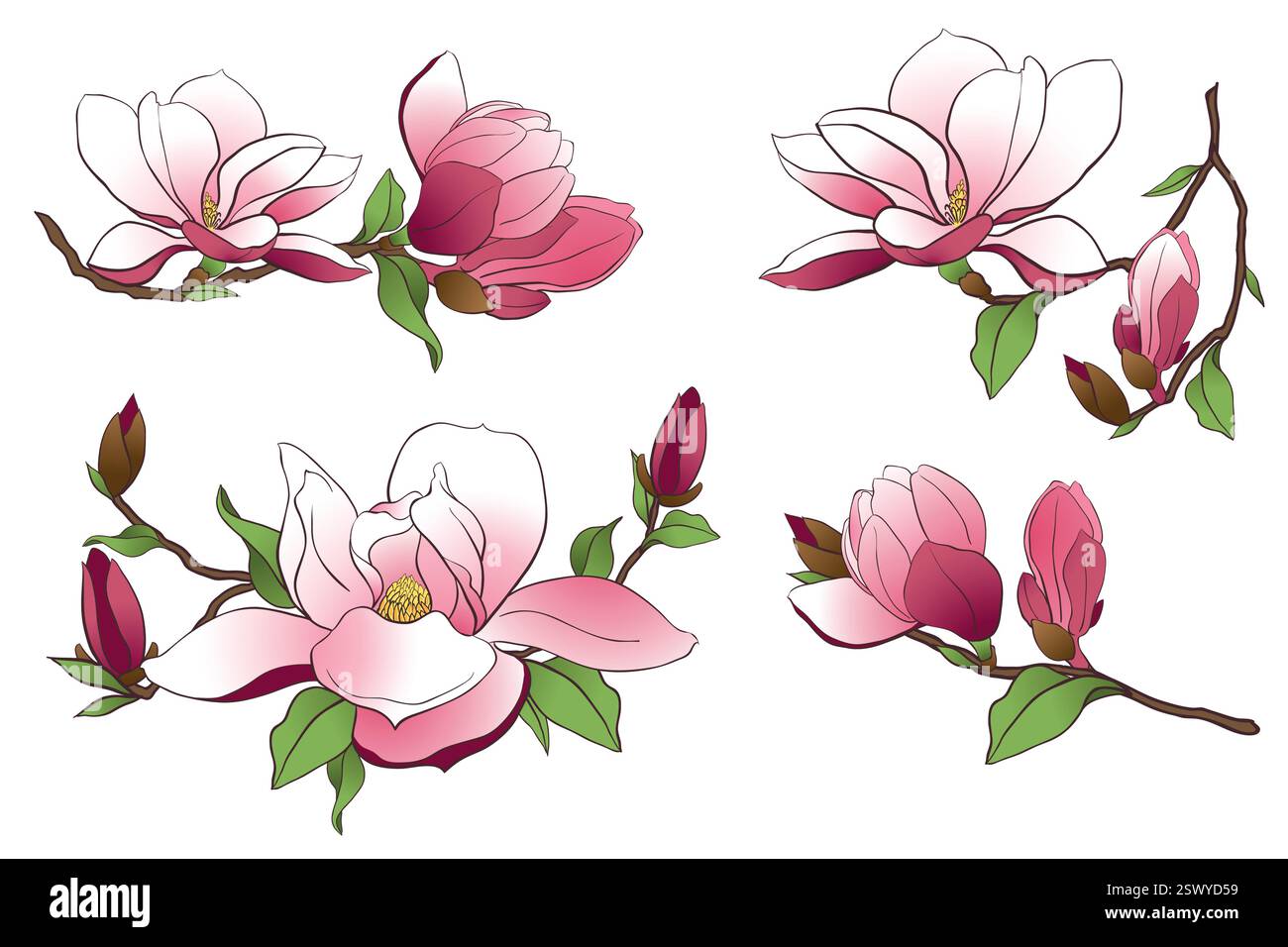 Magnolienzweig isoliert auf transparentem Hintergrund. Frühlingsrosa Blüten, Knospen und Blätter. Vektor-Illustration zum Erstellen von Hochzeitseinladungen, Glückwunsch zum Internationalen Frauentag. Stock Vektor