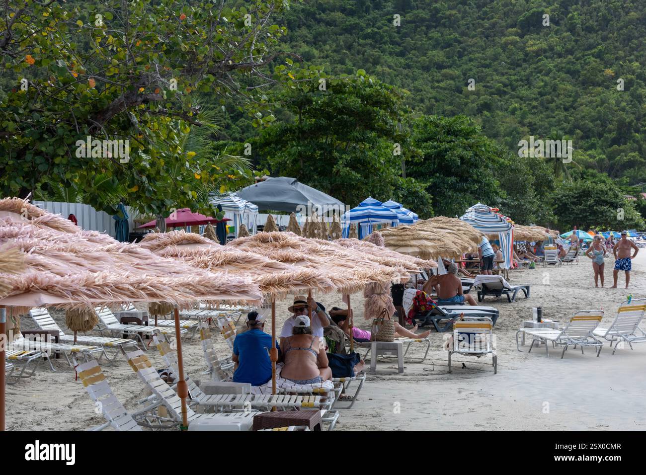 Beach Cane Garden Bay, Tortola Britische Jungferninseln Stockfoto