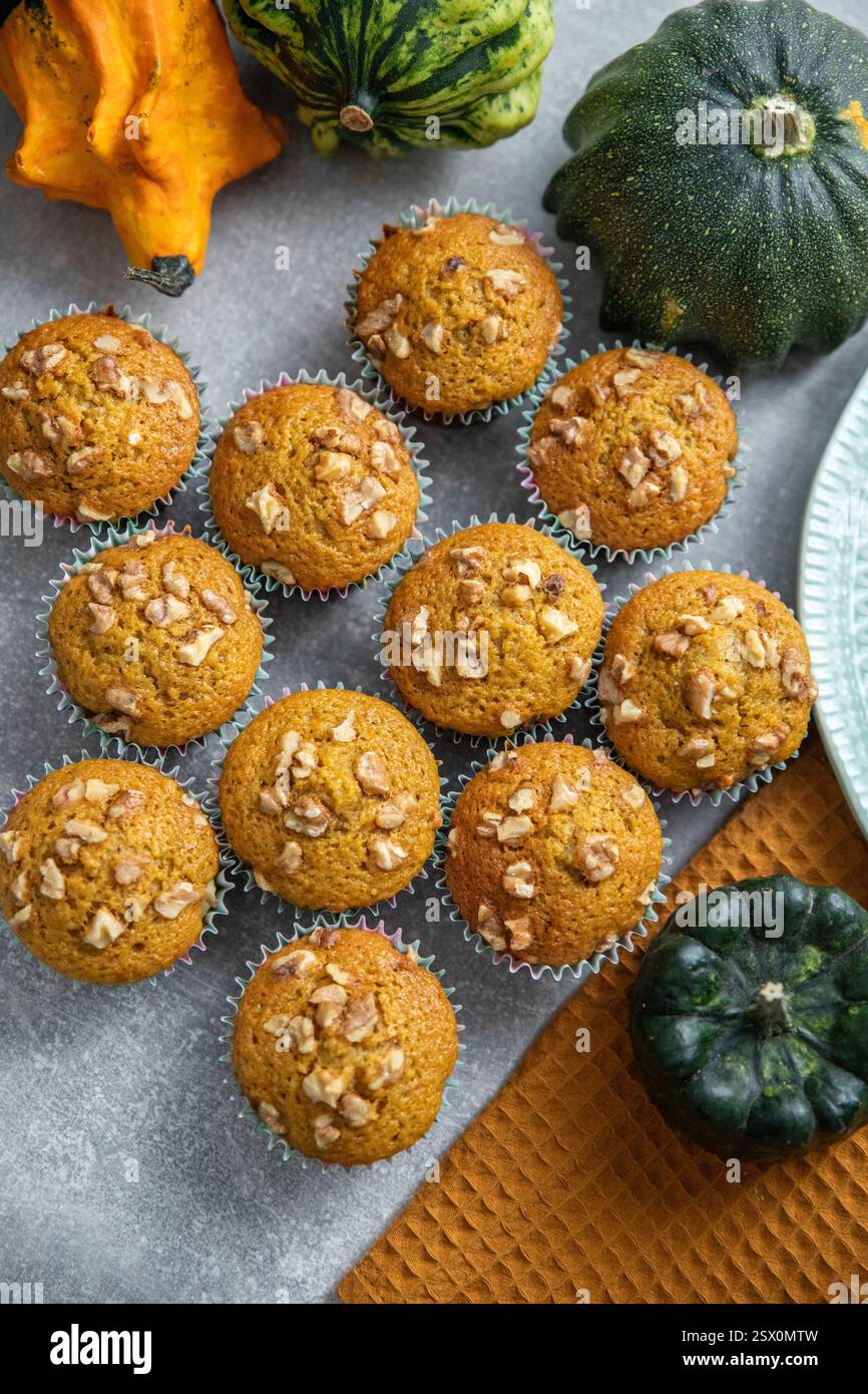 Kürbis Gewürz Cupcakes, Kürbispüree Backwaren, Kürbisse, Küchentuch, grauer Hintergrund. Muffins mit Kürbis und Nüssen Stockfoto