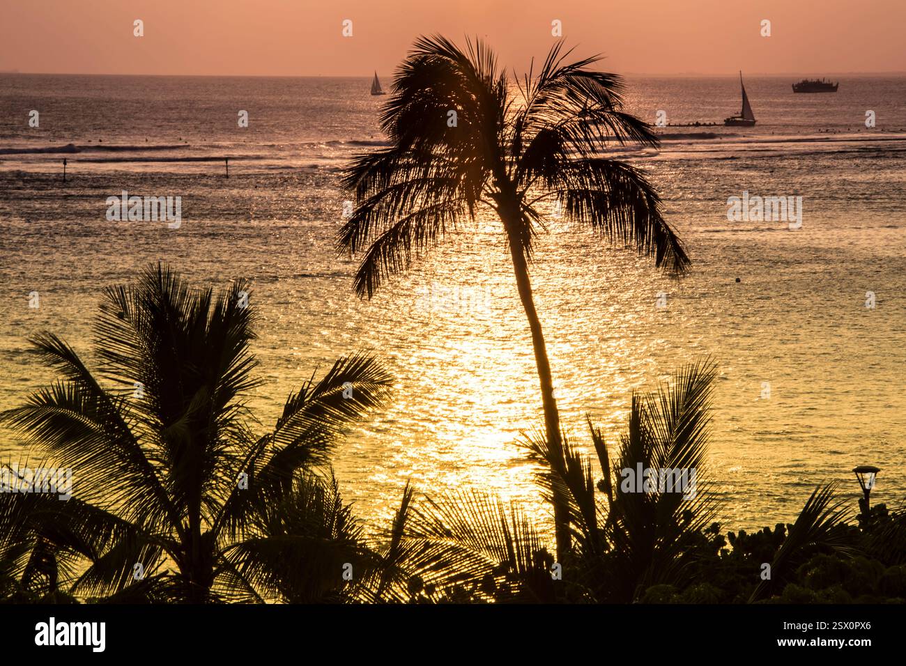 Die Palme ist vom Meer umgeben. Die Sonne untergeht und das Wasser ist ruhig Stockfoto