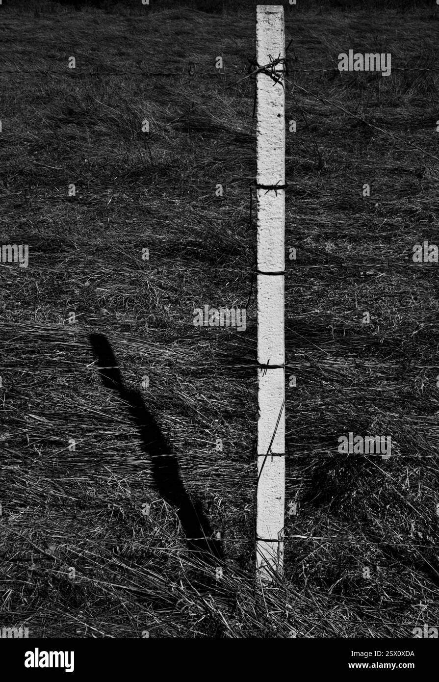 Weiße Säule mit Stacheldraht – Ein Symbol für Schutz. Einfarbige Details. Stockfoto