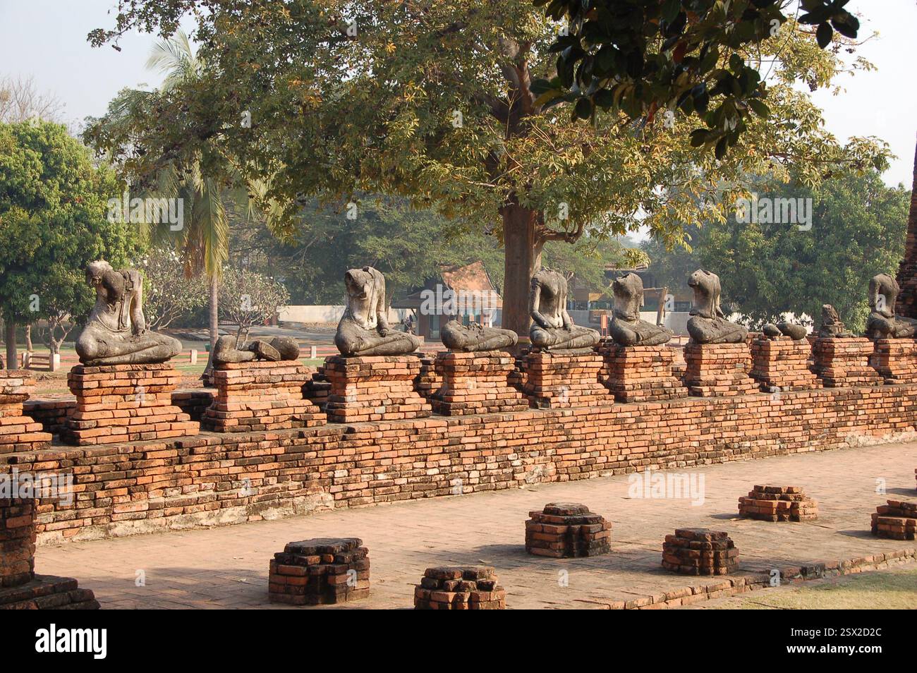 Reihe heiliger, meist kopfloser, demagierter, sitzender Buddha-Statuen aus Stein im historischen Wahrzeichen von Ayutthaya, Thailand Stockfoto