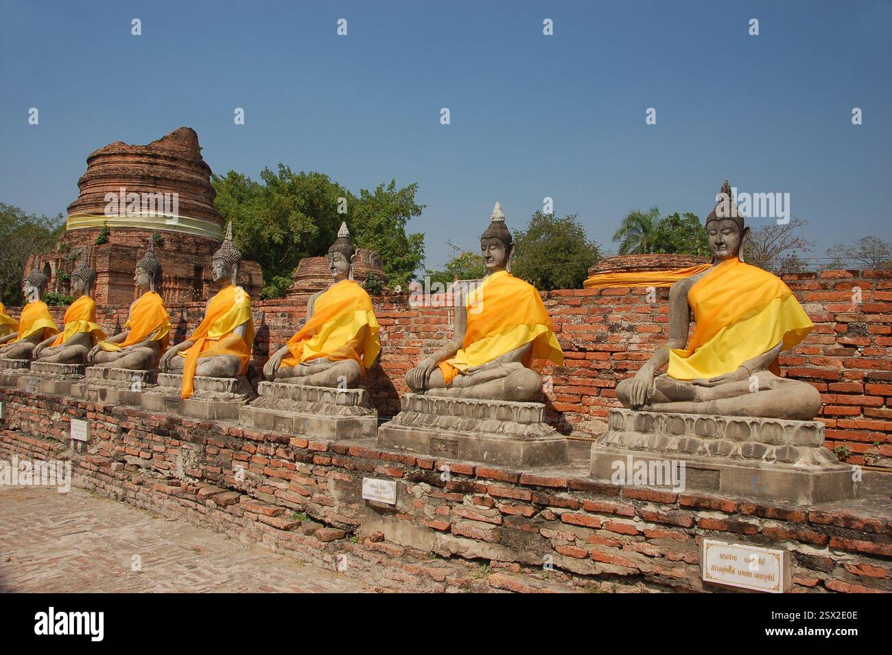 Reihe heiliger Buddha-Statuen in Ayutthaya, Thailand, mit orangefarbenen Tüchern überzogen, die Ehrfurcht und spirituellen Schutz symbolisieren Stockfoto