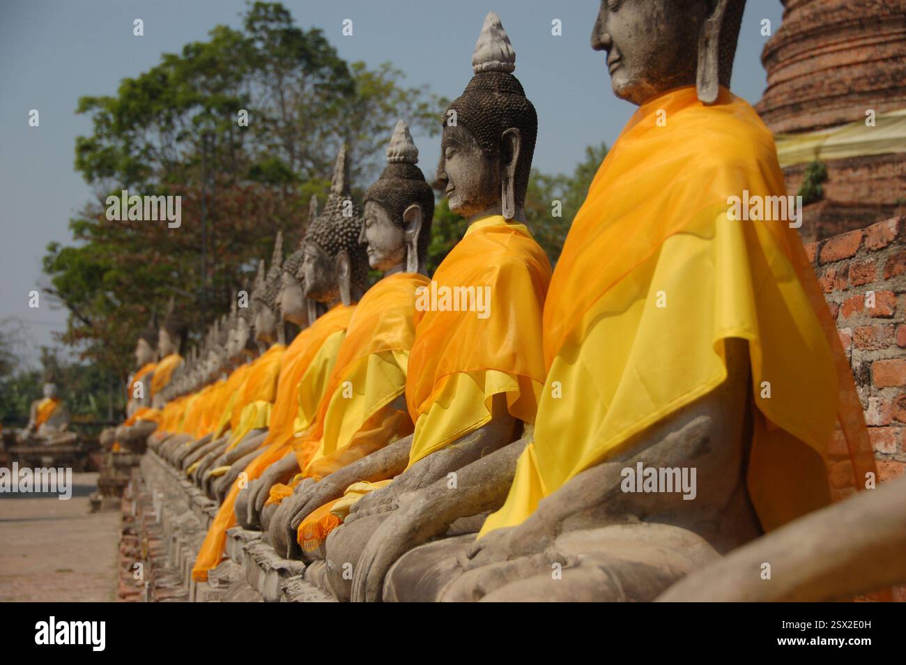 Reihe heiliger Buddha-Statuen in Ayutthaya, Thailand, mit orangefarbenen Tüchern überzogen, die Ehrfurcht und spirituellen Schutz symbolisieren Stockfoto