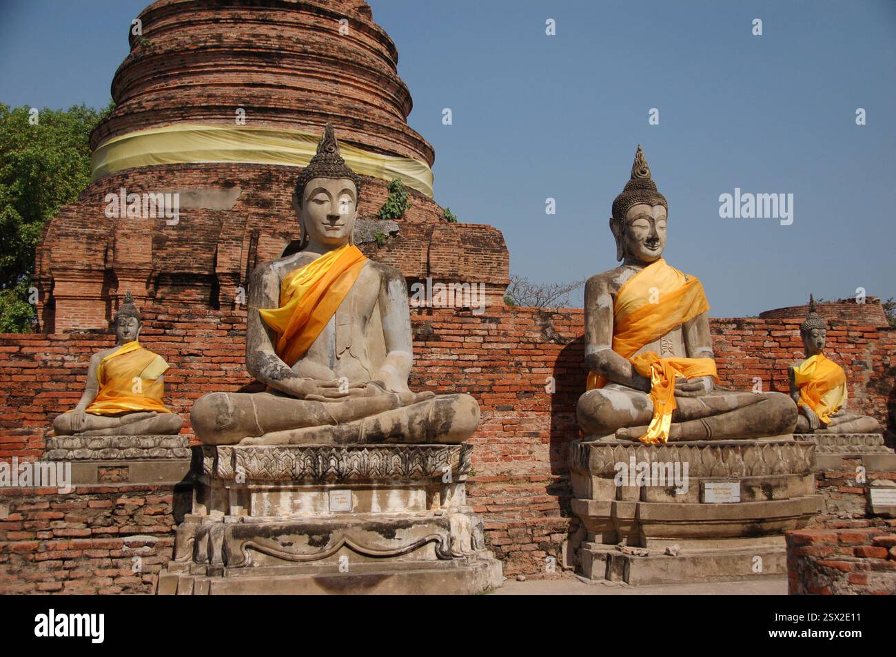 Reihe heiliger Buddha-Statuen in Ayutthaya, Thailand, mit orangefarbenen Tüchern überzogen, die Ehrfurcht und spirituellen Schutz symbolisieren Stockfoto