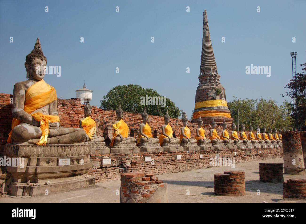 Reihe heiliger Buddha-Statuen in Ayutthaya, Thailand, mit orangefarbenen Tüchern überzogen, die Ehrfurcht und spirituellen Schutz symbolisieren Stockfoto