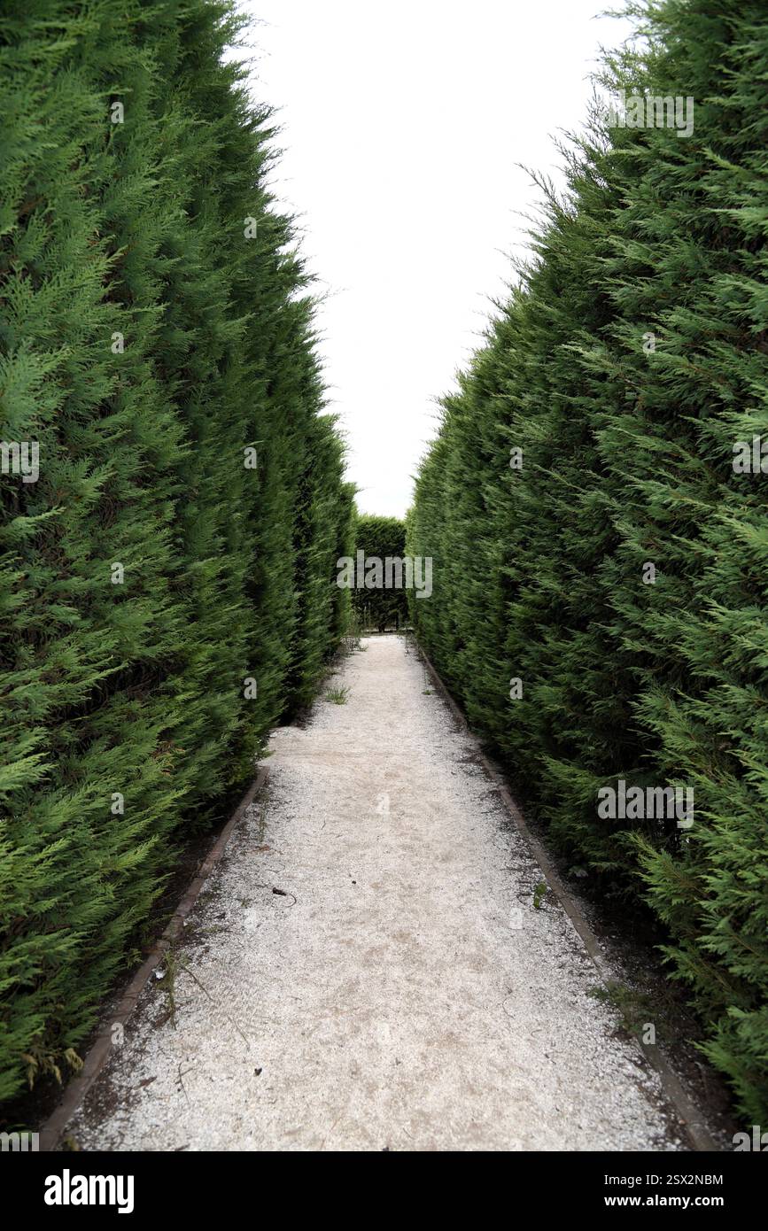 Hedge Labyrinth als Puzzle Stockfoto