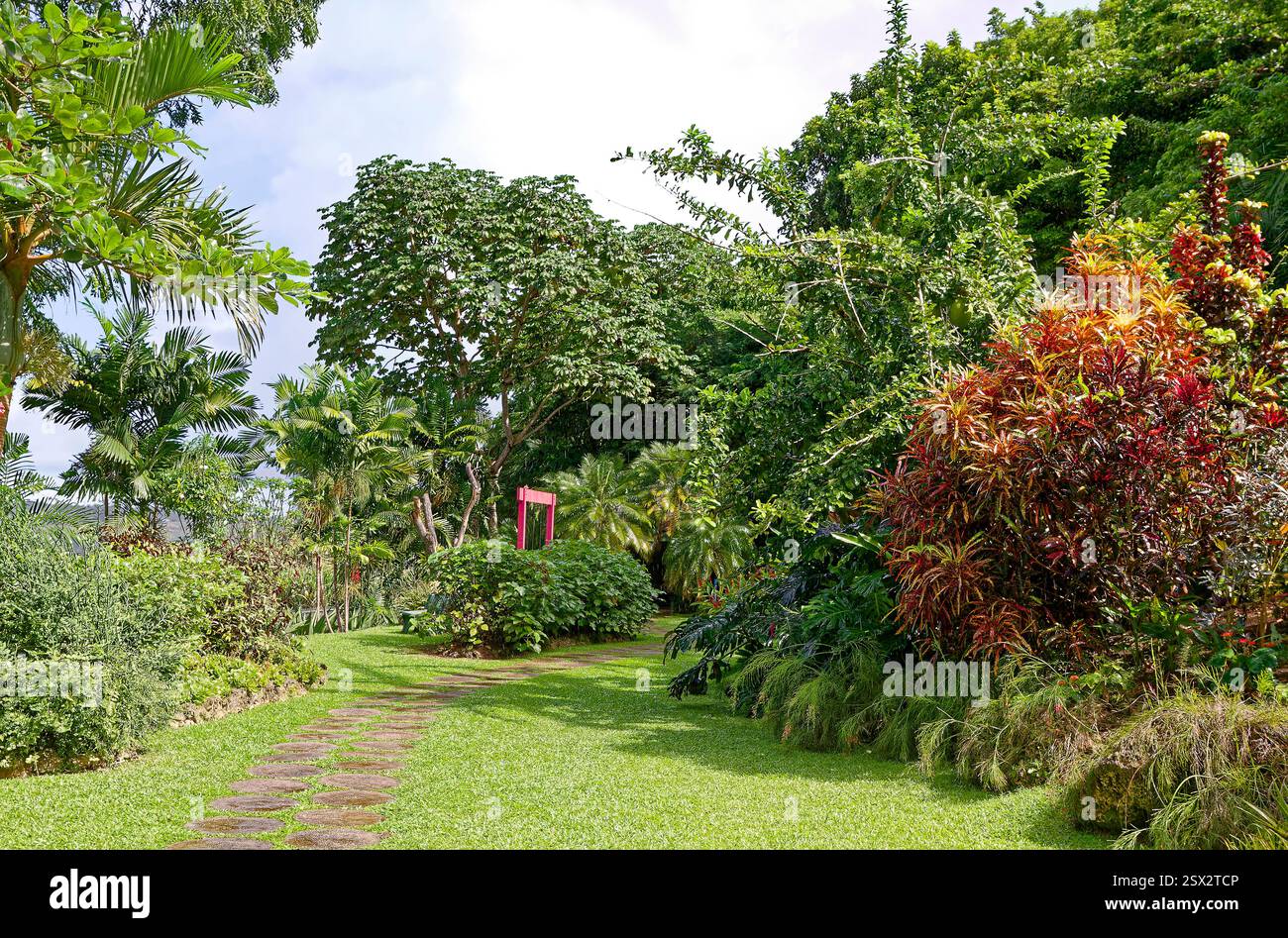 Tropischer Garten, Fußweg, flache Steine, Gras, Sträucher, Bäume, Szene, Landschaft, Karibik, Barbados, Westindien Stockfoto