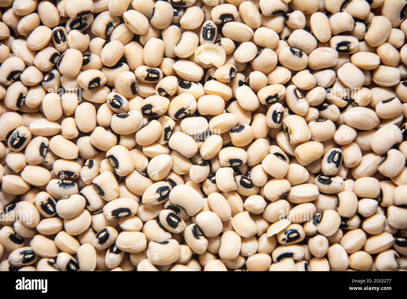 Bild mit schwarzäugigen Erbsen bedeckt Stockfoto