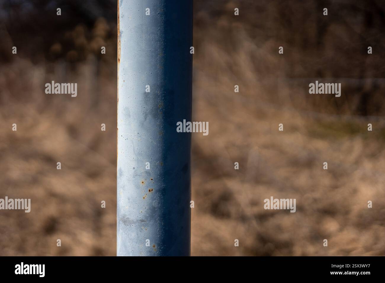 Säule im Park. Unscharfer Hintergrund. Stockfoto