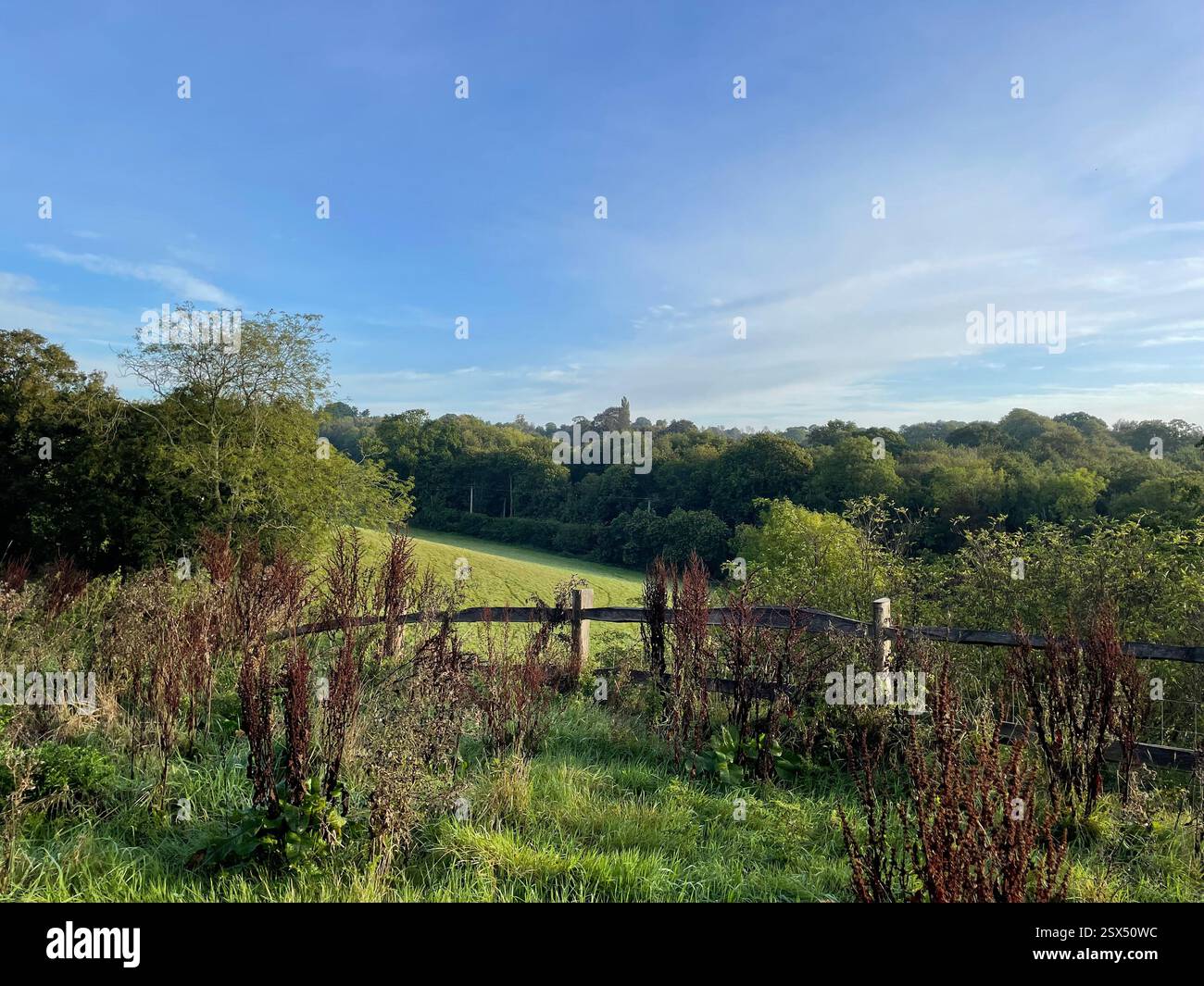 Sonnige Landschaft in Peasmarsh - Smartphone-aufgenommenes Stockfoto