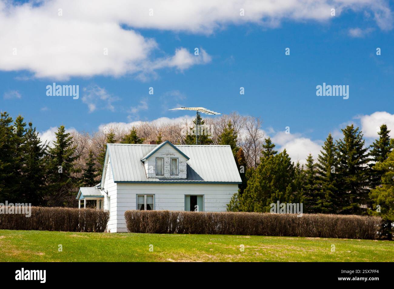 Weißes Haus mit blauem Dach auf einem grasbewachsenen Hügel. Das Haus ist von einer Hecke umgeben und auf dem Dach befindet sich eine kleine Antenne. Der Himmel ist klar und Stockfoto