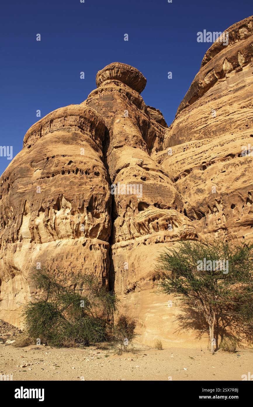 Felsengräber, UNESCO-Stätte Maidain Saleh oder Hegra, Al Ula, Königreich Saudi-Arabien Stockfoto