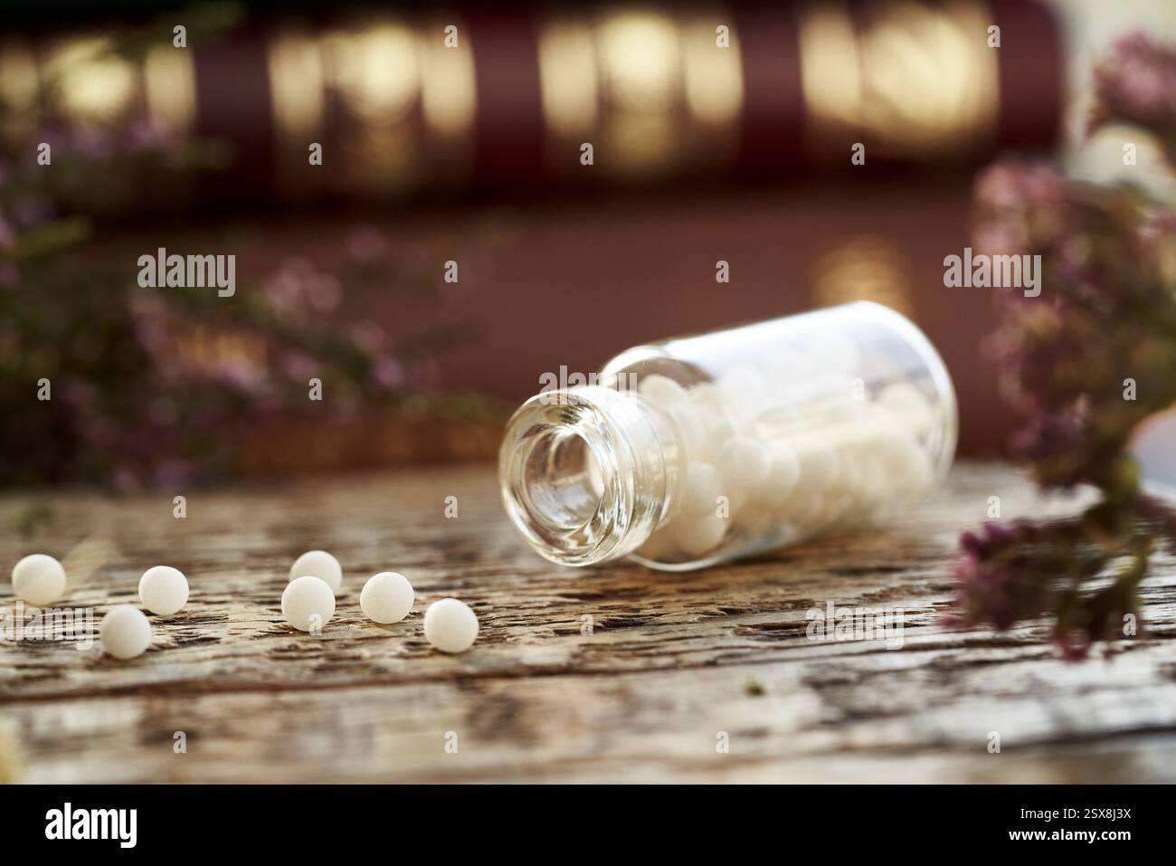 Weiße Homöopathiekügelchen aus einer Glasflasche, mit homöopathischen Materia medica-Büchern im Hintergrund Stockfoto