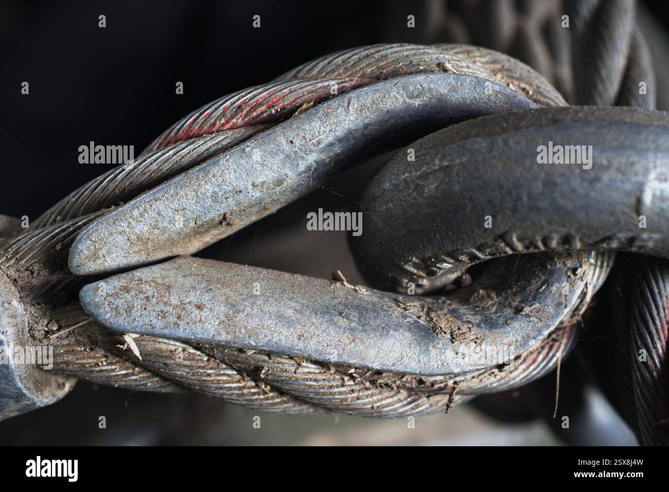 Industrielles Stahlkabel in Nahaufnahme. Stockfoto