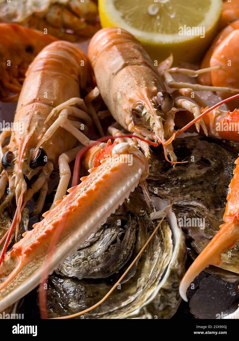 Fruits de Mer für zwei im La Halle Fishmongers, Dünkirchen, Frankreich. - Smartphone-aufgenommenes Stockfoto