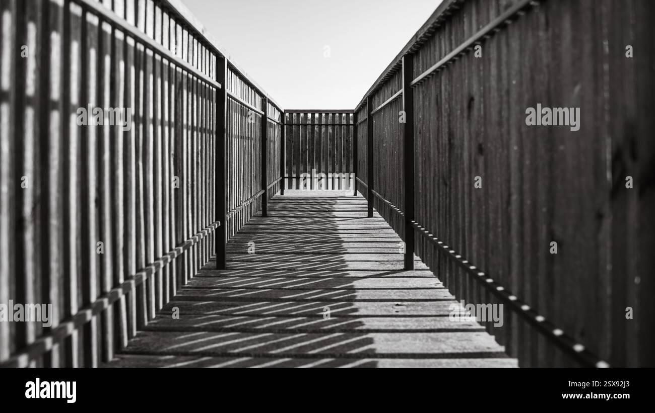 Abstrakter Schwarzweiß-Korridor, gebildet durch Holzzäune. Sonnenlicht durchströmt die Leisten und erzeugt scharfe geometrische Schatten. Tiefe, perspektiv Stockfoto