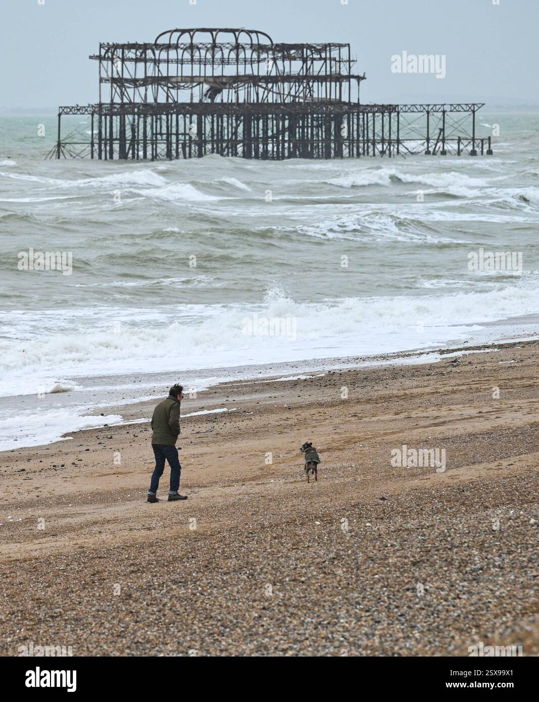 Brighton UK 23. Februar 2025 - Ein Wanderer und sein Hund genießen heute das windige Wetter am Strand von Brighton: Credit Simon Dack / Alamy Live News Stockfoto