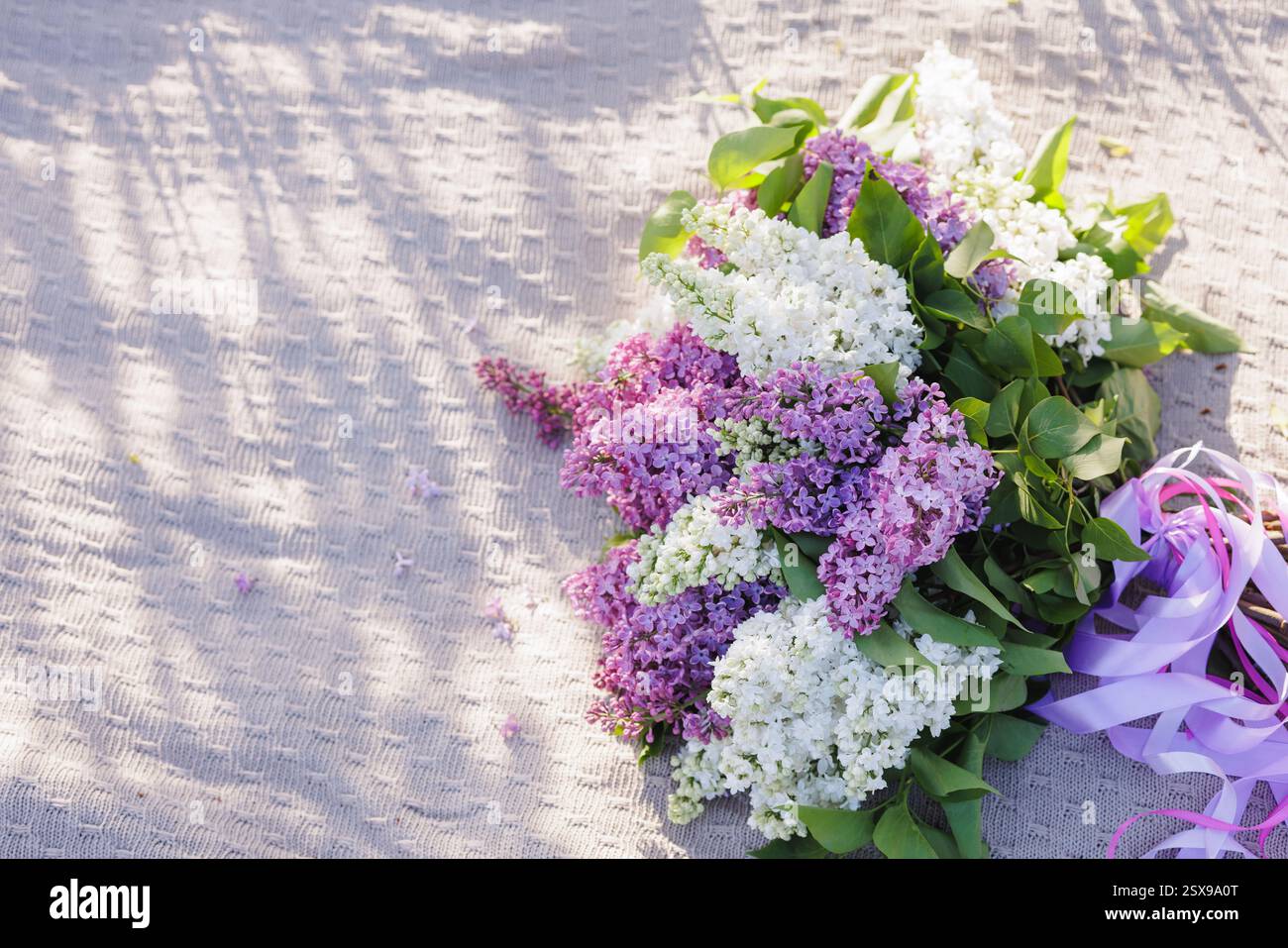 Schöne Fliederblüten im weichen Sonnenlicht auf einem gestrickten Stoffhintergrund, romantische Frühlingsblumenkomposition, Natur und saisonale Frische. Stockfoto