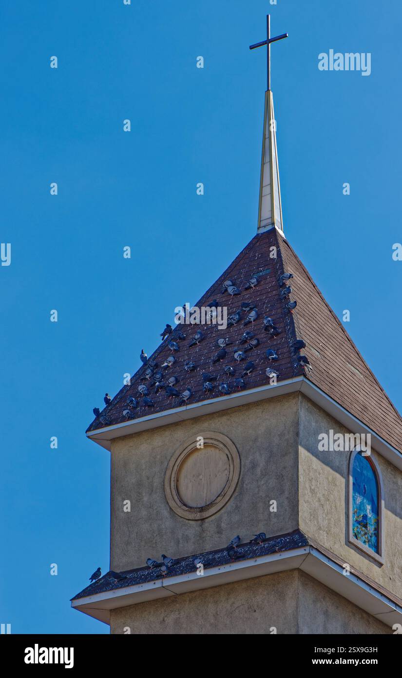Tauben sitzen auf der schattigen Seite des Kirchturms der New Yorker Seventh-Day Adventist Chinese Church an der 76-06 41st Avenue in Elmhurst, Queens, New York. Stockfoto