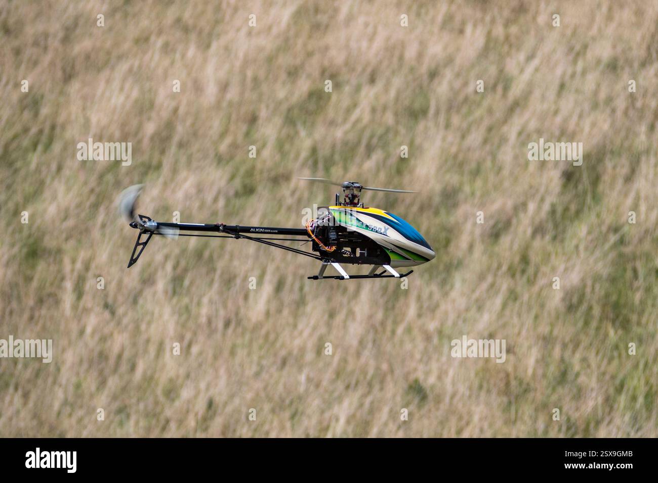 Ein Align 500X Electric RC Hubschrauber (Modellhubschrauber) fliegt in Herberts Hole, Chesham (HP5), Großbritannien. Stockfoto