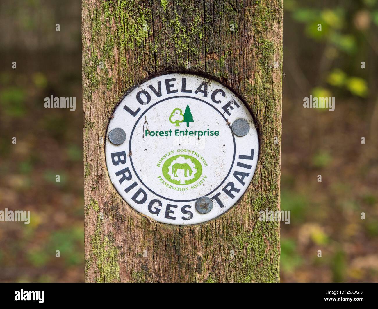 Melden Sie sich für den Lovelace Bridges Trail an. Die Brücken wurden von William King, 1. Earl of Lovelace, auf seinem Anwesen in East Horsley, Surrey, Großbritannien, gebaut. Stockfoto