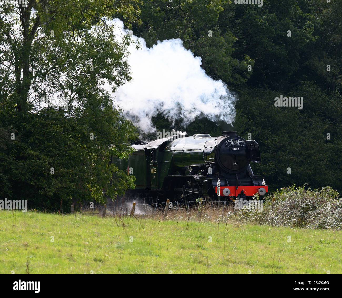 Der Flying Scotsman auf seiner hundertjährigen Tour auf der Bluebell Line Stockfoto