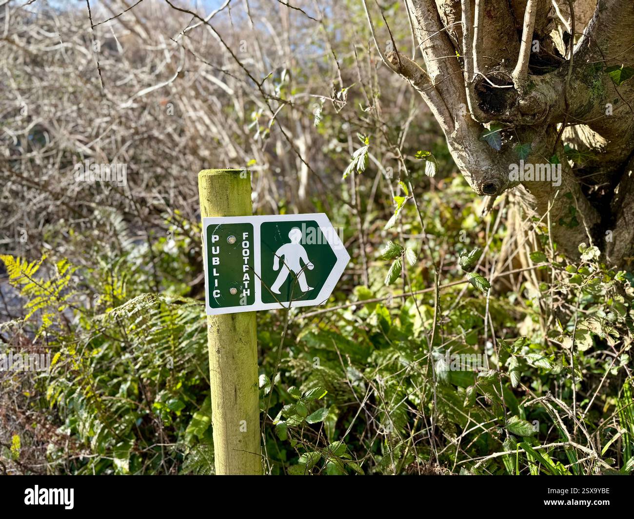 Öffentlichen Fußweg Zeichen - Smartphone-aufgenommenes Stockfoto