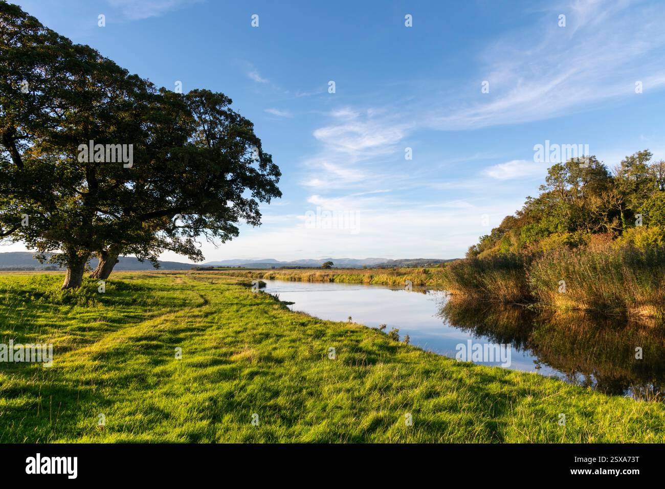 Wunderschöner Abend am Fluss Bela bei Milnthorpe an der Küste von Cumbria, England. Stockfoto
