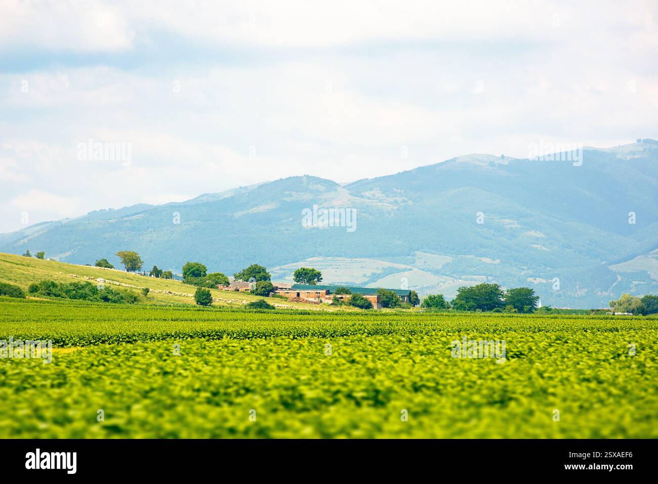 Landschaft mit ländlichem Feld. Berglandschaft rumäniens im Sommer. Bewölkter Himmel. Ort der natürlichen Umgebung Stockfoto