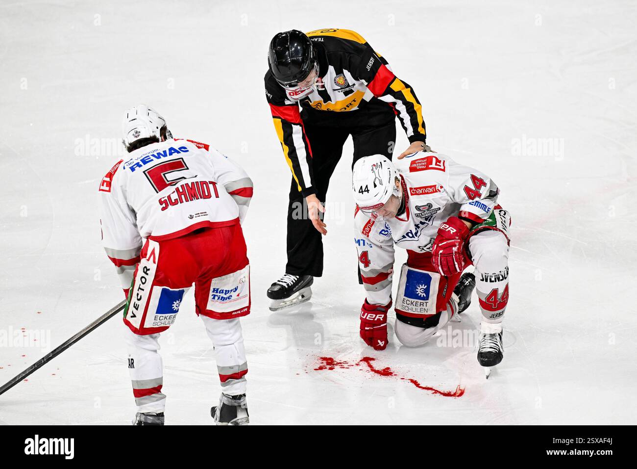 Eishockey DEL2 - 24/25 50. Spieltag: Krefeld Pinguine vs Eisbären Regensburg am 23.02.2025 in der Yayla Arena in Krefeld nach einem Pucktreffer im Gesicht blutet Regensburgs Olle Liss (Nr.44) sehr stark, Regensburgs Christoph Schmidt (Nr.5) und der Schiedsrichter kümmert sich um ihn Foto: Osnapix Stockfoto