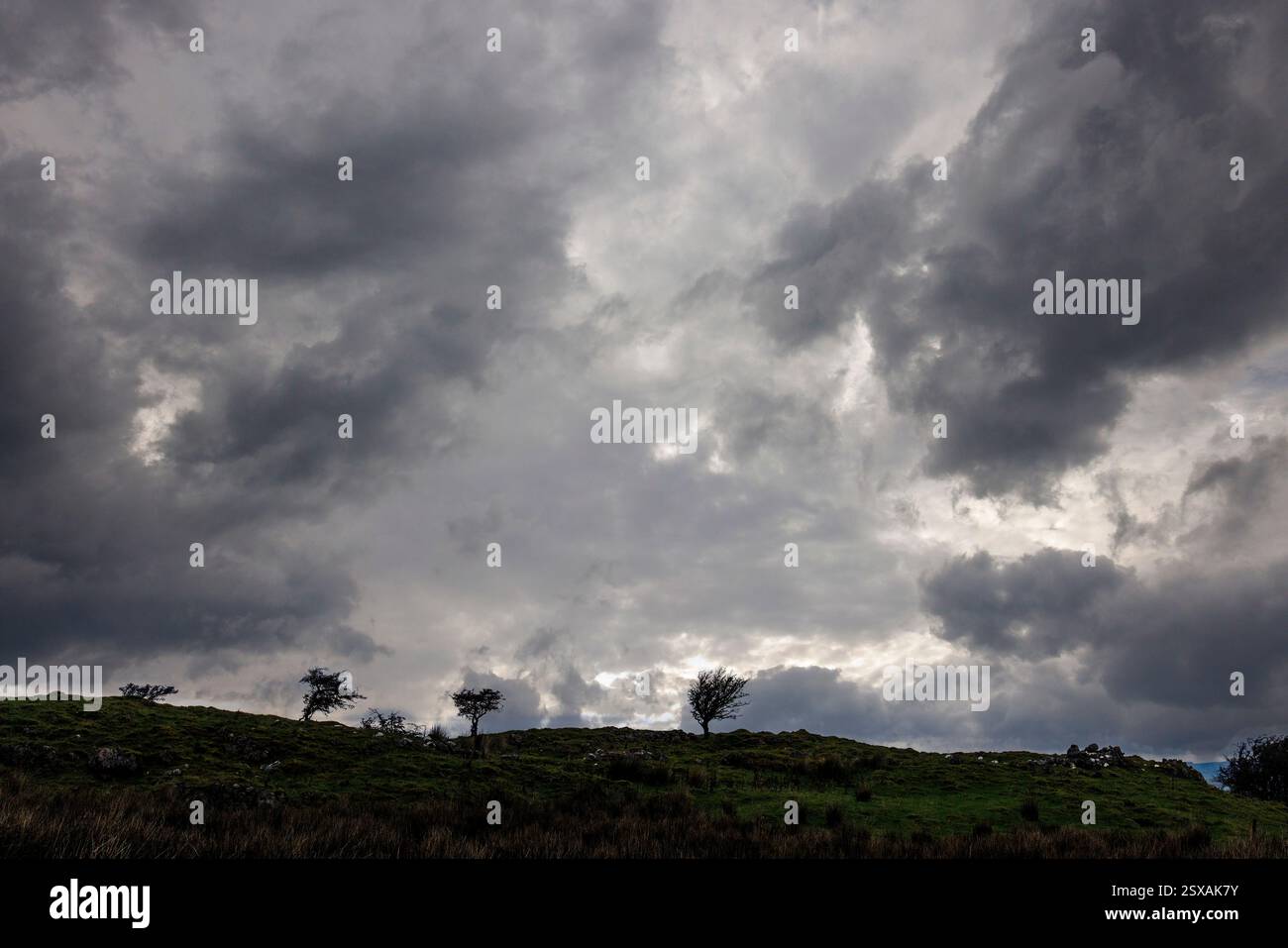 Sturmwolken über trockenem Moorland, Cuilcagh, Co. Fermanagh, Irland Stockfoto