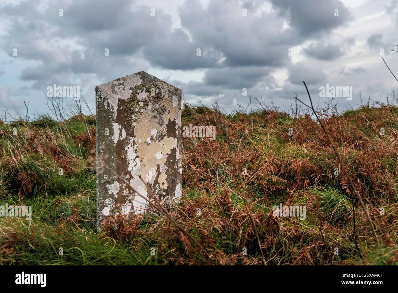 Verwitterter Grabstein, St. Helens Church Ruin, Killilane, Co. Wexford, Irland Stockfoto
