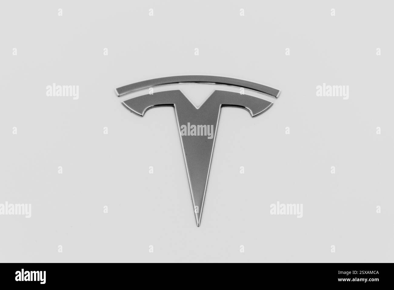 Sint Truiden, Belgien. Februar 2025. Die Abbildung zeigt das Logo von Tesla auf einem Auto in marge eines Weltrekordversuchs von Electrify Europe, Tesla Belgium, Droneport, Tesla Eigentümern Belgien und Tesla Eigentümern Niederlande für den Weltrekord der meisten Tesla, die eine perfekt synchronisierte Lichtshow in Europa veranstalten, in Sint-Truiden, Sonntag, den 23. Februar 2025. Die Organisation plant, mehr als 1.000 Teslas Leuchten in einer perfekt synchronisierten Lichtshow zu lassen. BELGA FOTO NATACHA FREISEN Credit: Belga News Agency/Alamy Live News Stockfoto