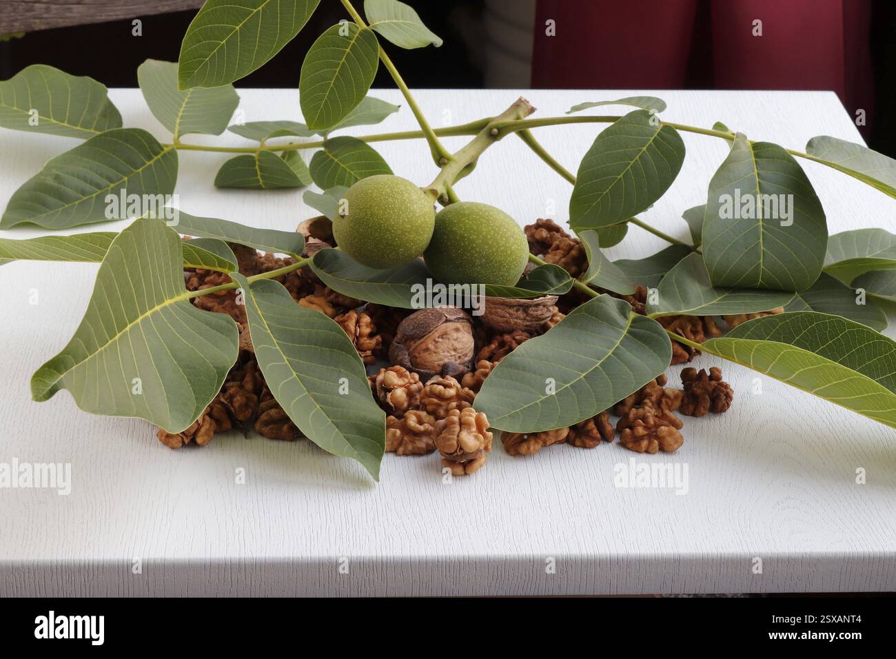 Walnusskerne, Walnussohn, grüner Zweig mit Früchten auf dem Tisch. Stockfoto