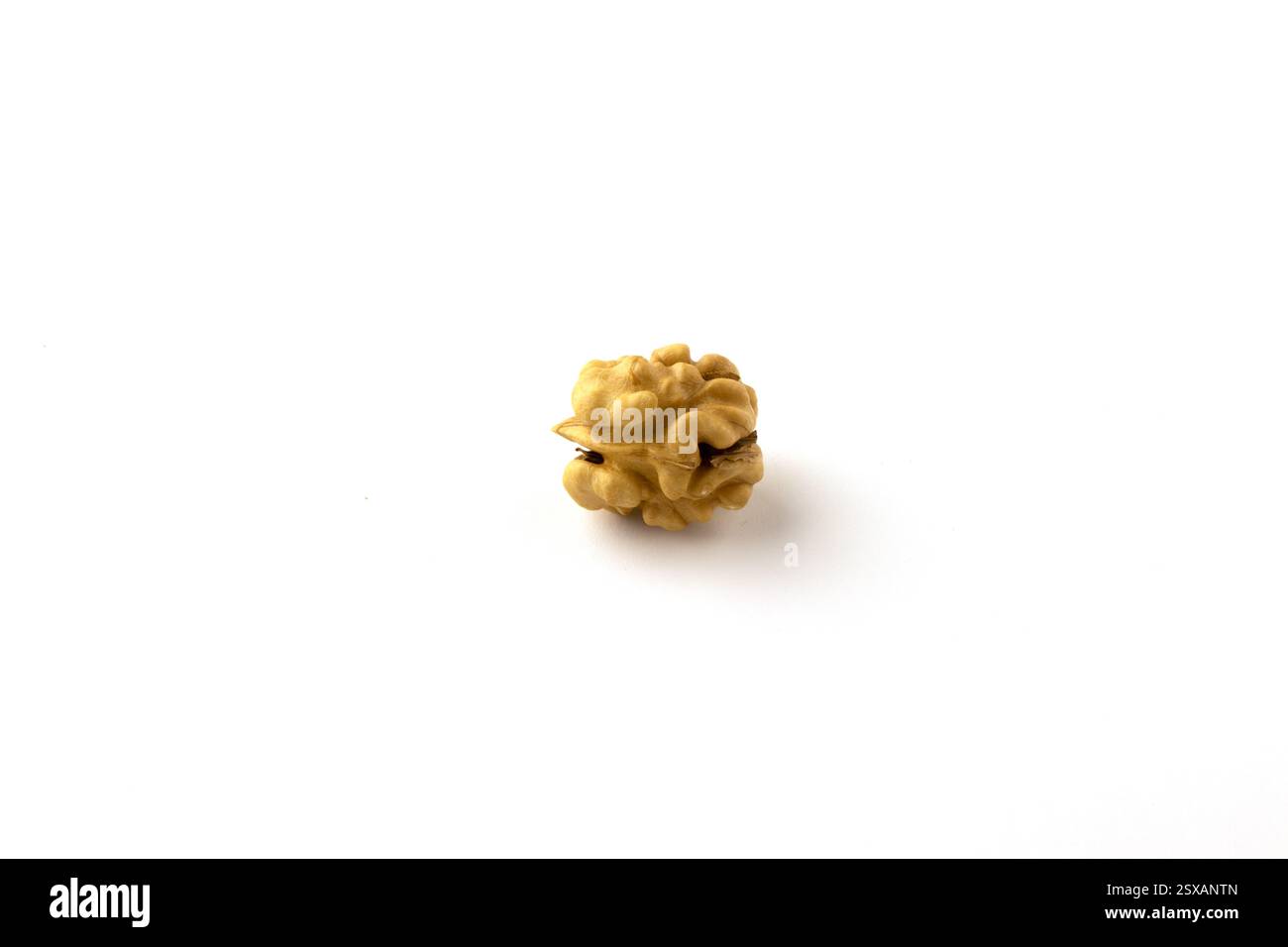 Ganzer Walnusskern auf weißem Hintergrund. Stockfoto