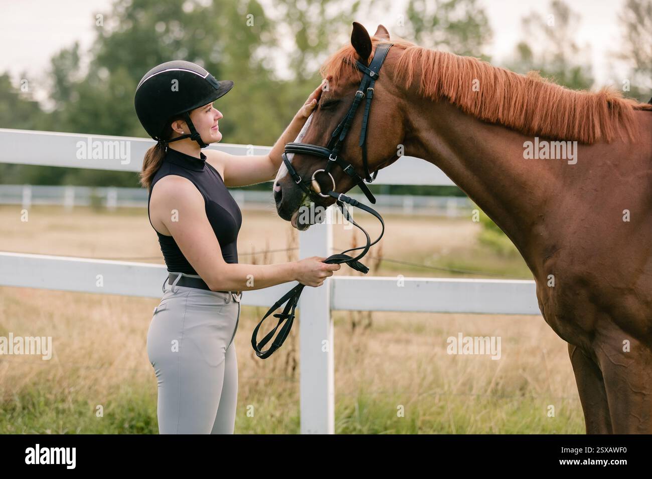 Weibliche Reiterhand streichelt sanft die wunderschöne dicke rote Pferdemäne, Nahaufnahme. Equitation und Tierliebhaber-Konzept. Stockfoto