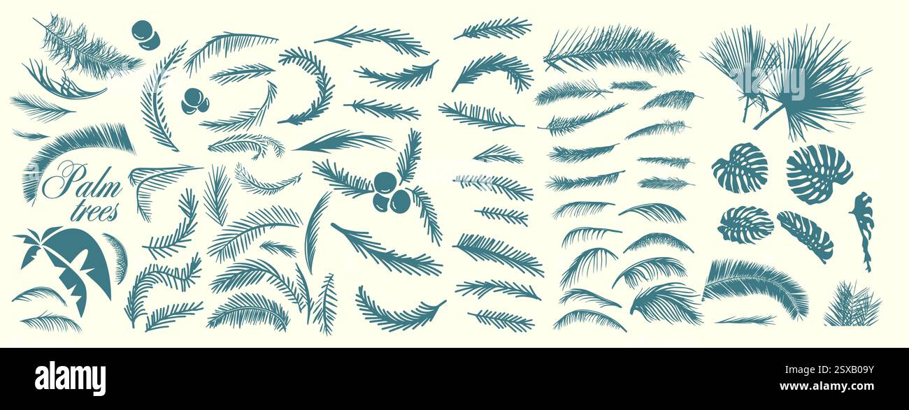 Satz Palmblätter. Handzeichnung. Nicht AI, Vektorillustration Stock Vektor