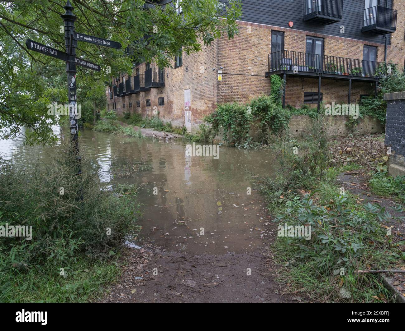 Der River Thames Path am Bulls Alley Draw Dock in der Nähe der Mortlake High Street wurde im September 2024 durch Hochwasser blockiert. Stockfoto