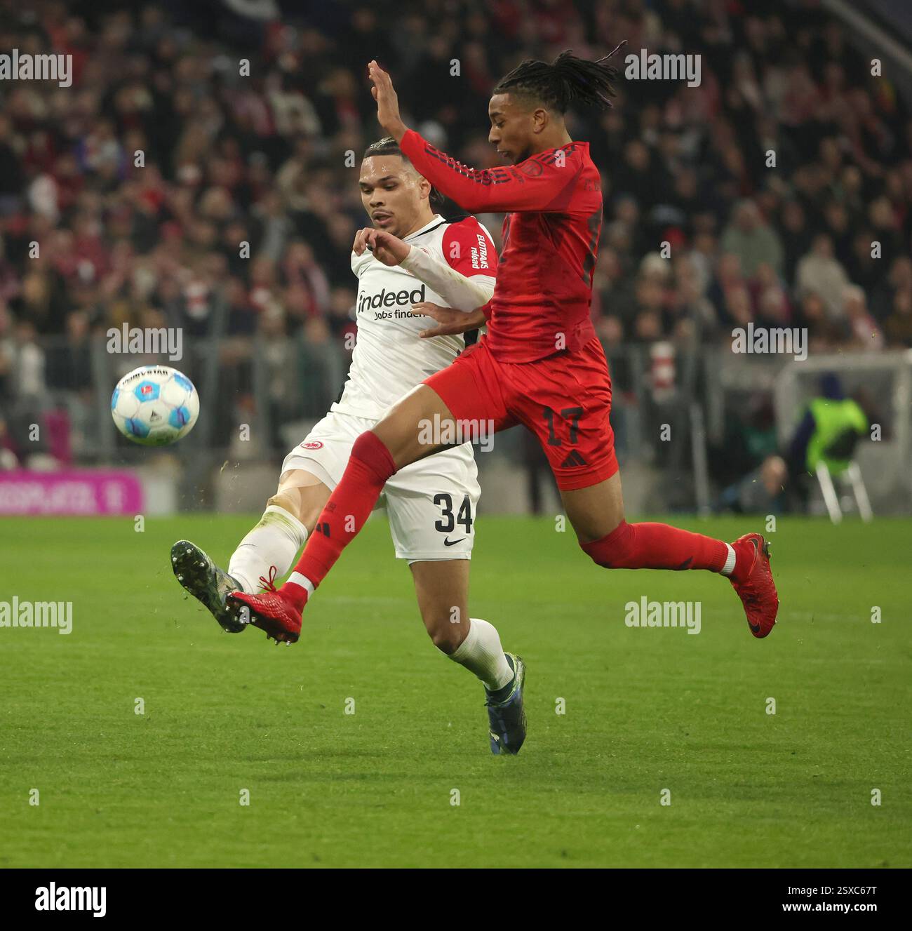 München, Deutschland. Februar 2025. Michael Olise (R) von Bayern München streitet mit Nnamdi Collins von Eintracht Frankfurt während des ersten Bundesliga-Fußballspiels zwischen Bayern München und Eintracht Frankfurt am 23. Februar 2025 in München. Quelle: Philippe Ruiz/Xinhua/Alamy Live News Stockfoto