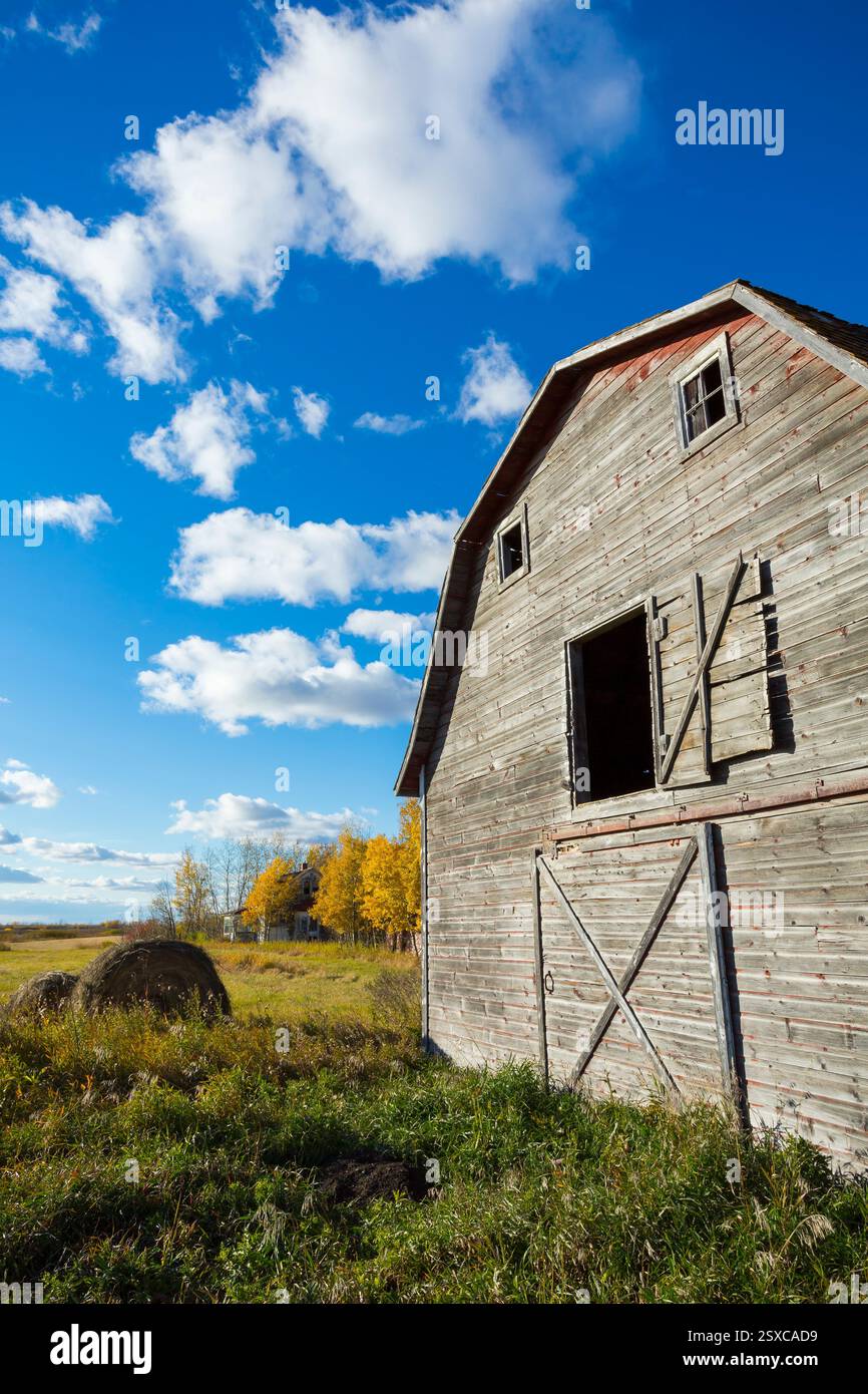 Scheune mit einer großen offenen Tür und einem kleinen Fenster. Die Scheune ist von einem Grasfeld umgeben Stockfoto Scheune mit einer großen offenen Tür und einem kleinen Fenster. Die Scheune ist von einem Grasfeld umgeben Stockfoto
