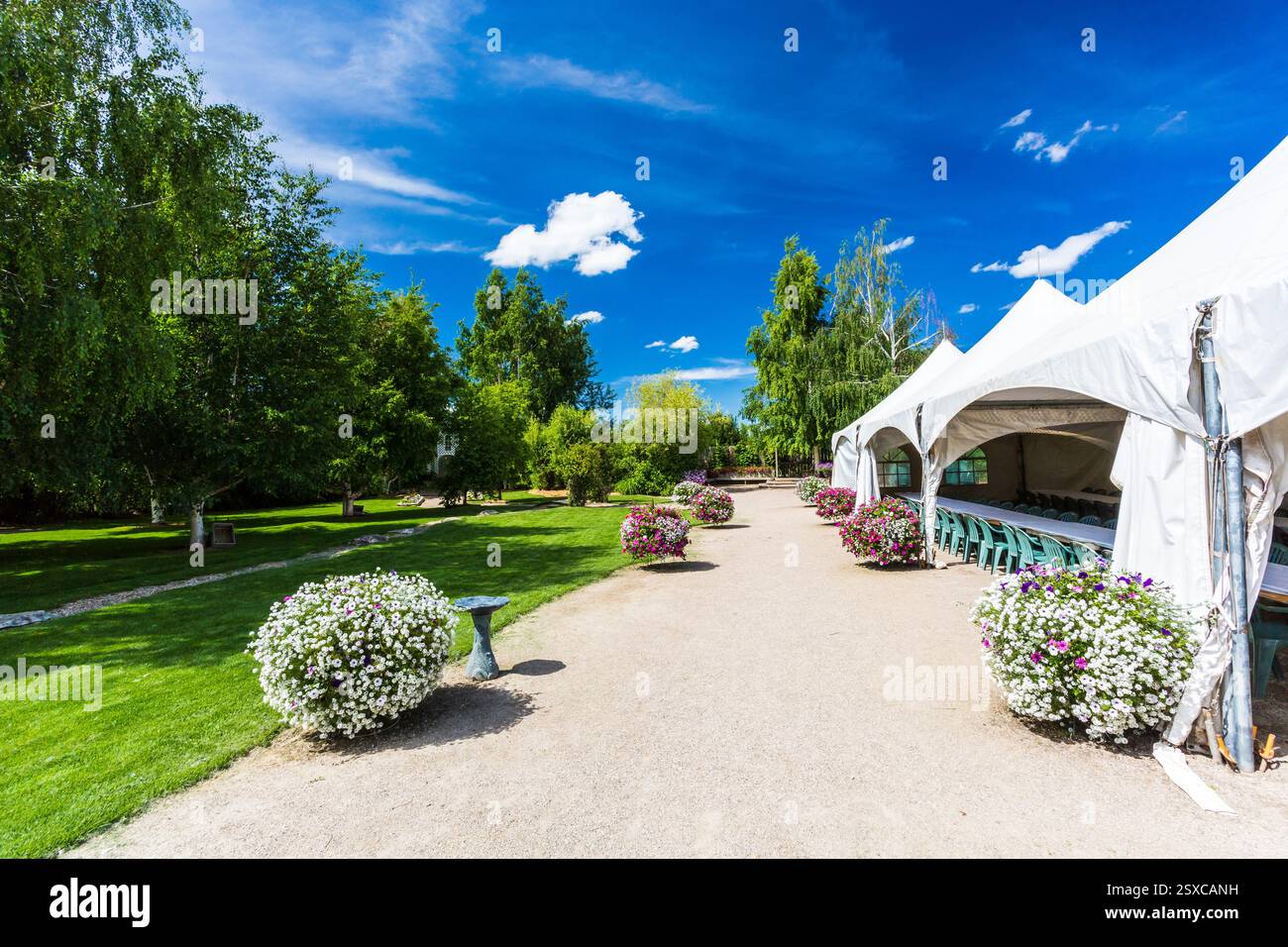 Das weiße Zelt ist auf einem Feld mit blauem Himmel aufgestellt. Entlang des Weges befinden sich mehrere Topfpflanzen, und eine Bank befindet sich in der Nähe der Mitte der s Stockfoto