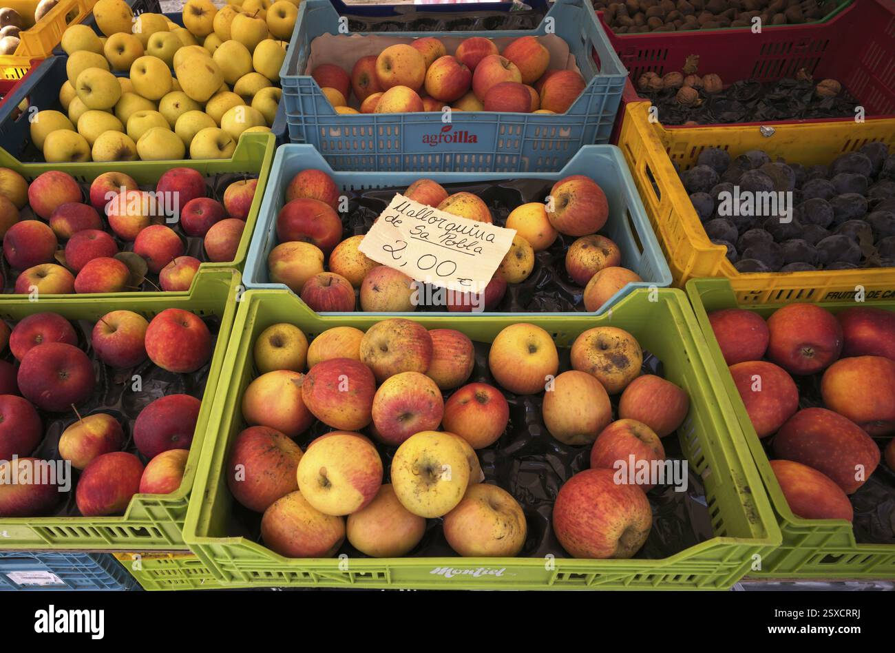Äpfel, Pflaumen, Obst, Ausstellung auf dem Wochenmarkt, Alaro, Calvia, Mallorca, Balearen, Balearen, Spanien, Europa Stockfoto