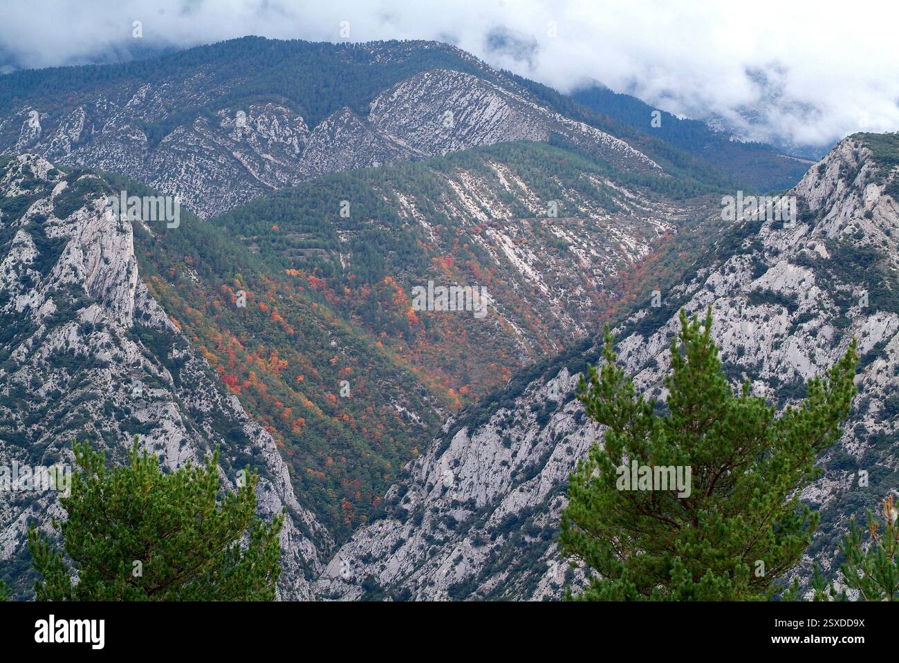 Serra del Cadí zwischen Alt Urgell und Bergadà. Vorpyrenäen, Katalonien, Spanien. Stockfoto