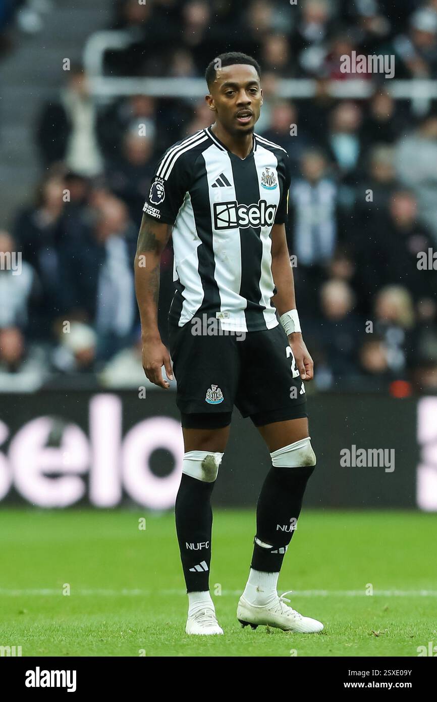 Newcastle, Großbritannien. Februar 2025. Joe Willock von Newcastle United während des Spiels Newcastle United FC gegen Nottingham Forest FC English Premier League in St. James' Park, Newcastle, England, Großbritannien am 23. Februar 2025 Credit: Lee Keuneke/Every Second Media Credit: Every Second Media/Alamy Live News Stockfoto
