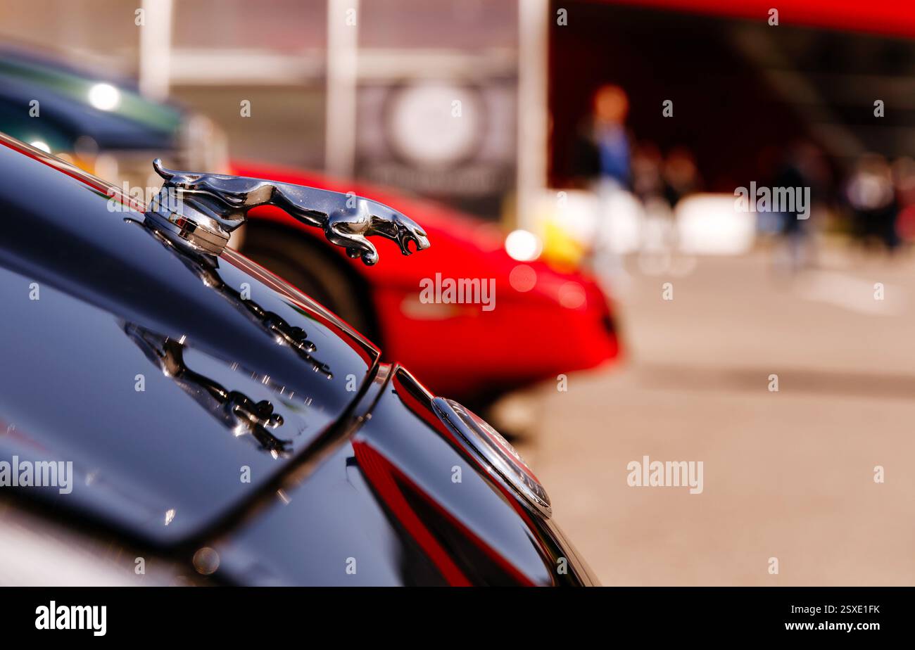 Vintage jaguar Kapuzenverzierung reflektiert im Sonnenlicht bei klassischem c Stockfoto