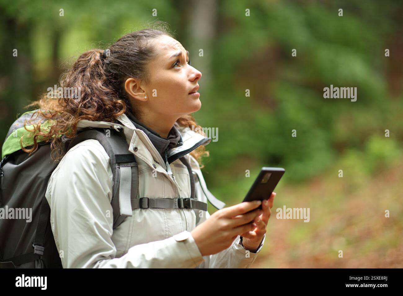 Besorgter, verlorener Wanderer, der das Smartphone benutzt, um in einem Wald zu lokalisieren Stockfoto