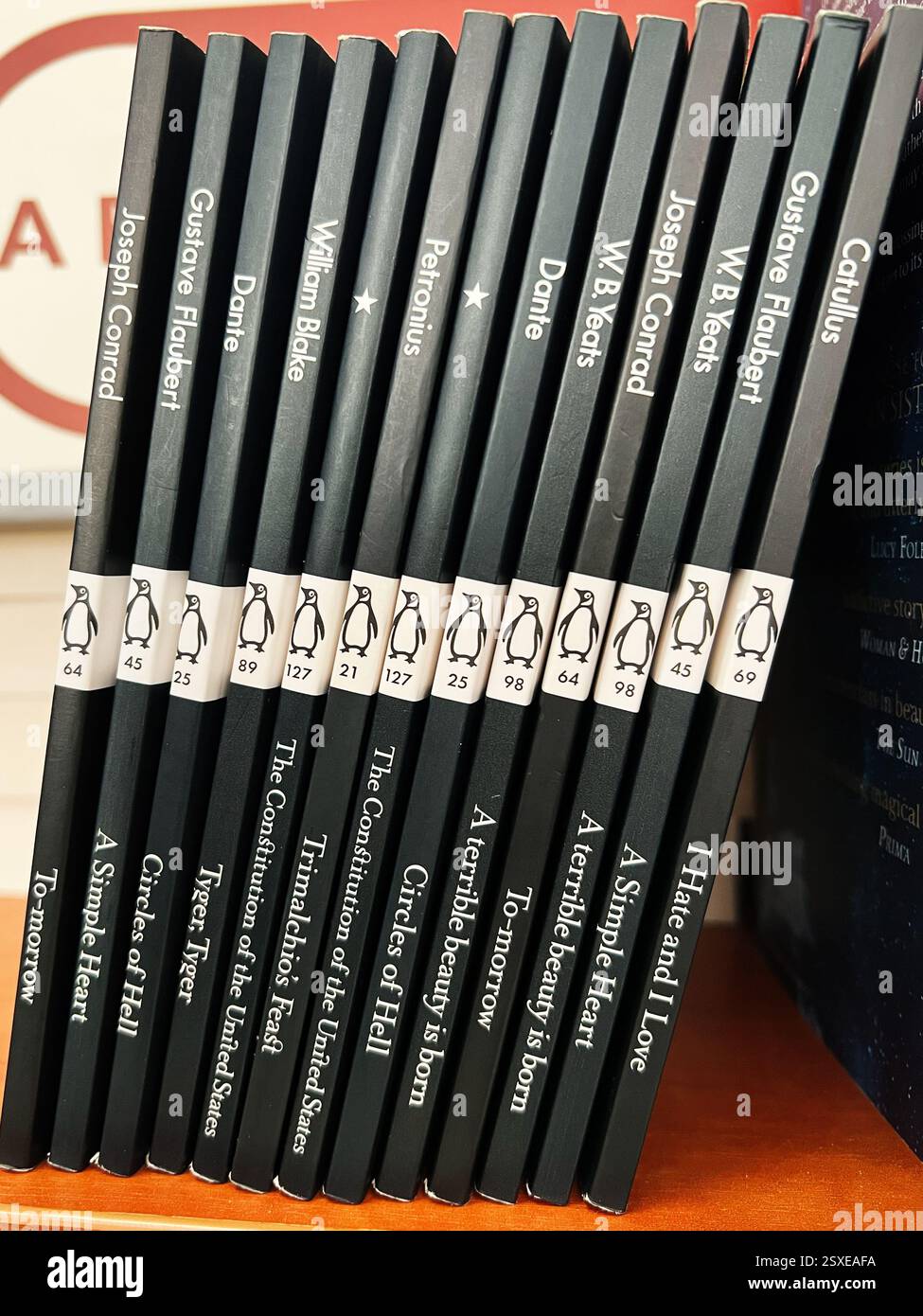 Lviv, Ukraine - 20. Februar 2025: Pinguin Classics mit Werken der Literatur von Joseph Conrad, Gustave Flaubert, Dante. Stockfoto